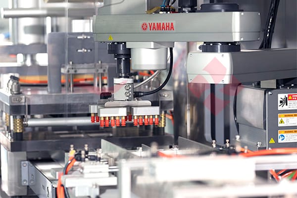 Automatic Blister Packing & Cartoning Machine