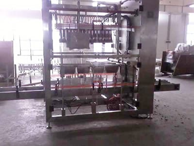 Gas Bag Gripper Automatic Carton Packing Machine